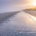 Paisaje de playa al amanecer con neblina y reflejos de luz en la arena, representando las estaciones del alma en el duelo